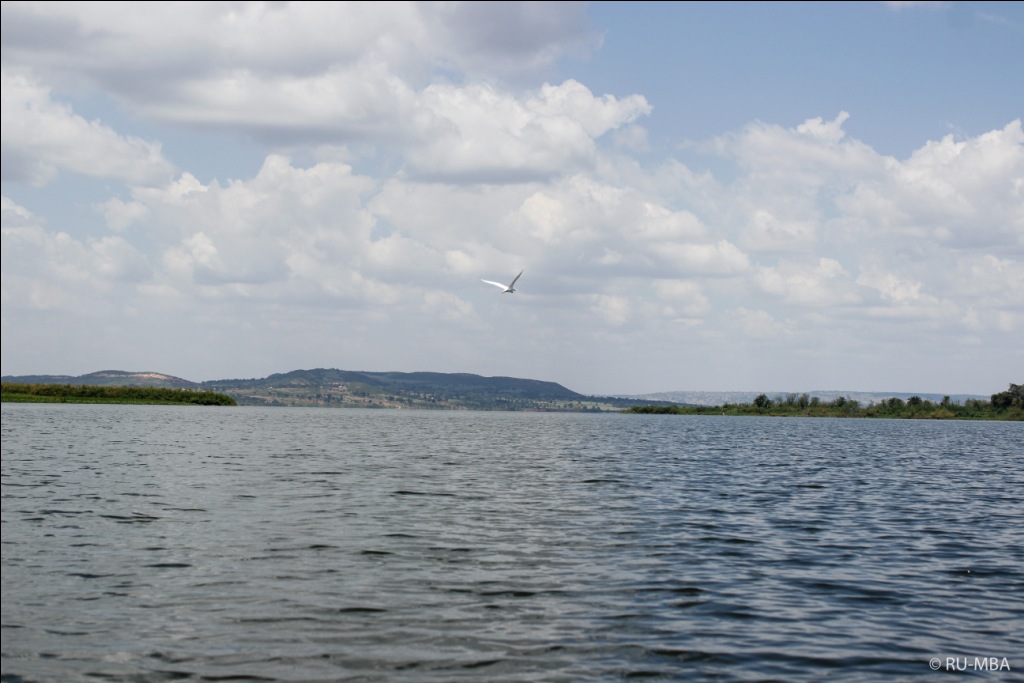 Lake Victoria-Esther Mbabazi-2015